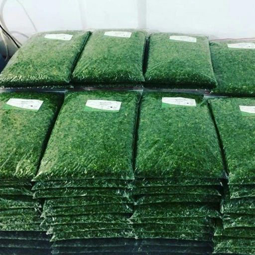 آموزش روش صحیح برای فریز کردن سبزی | دیگه سبزی سرخ شده رو فریز نکن