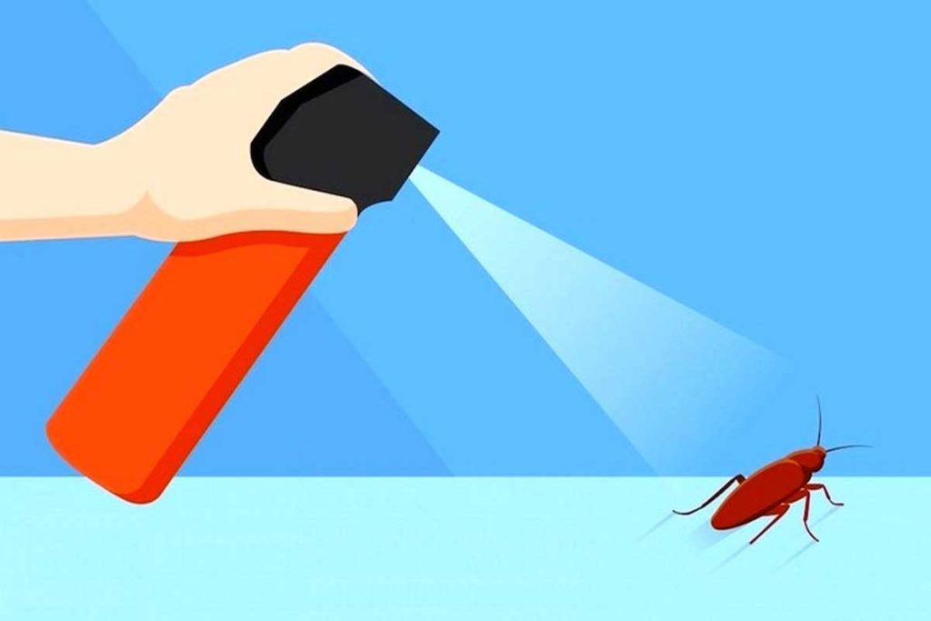 راهکارهای ویژه برای جلوگیری از هجوم سوسک به خانه