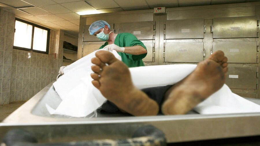 کشف جسد مرد پولدار در گلخانه شخصی‌اش