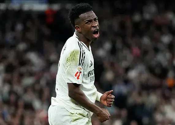 نمایش زندگی وینی: زاغهنشینی که اروپا را فتح کرد