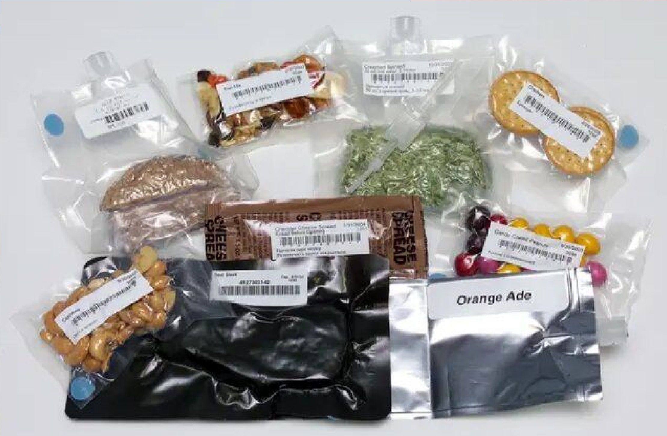 پرتاب آزمایشگاه تولید مواد غذایی به فضا